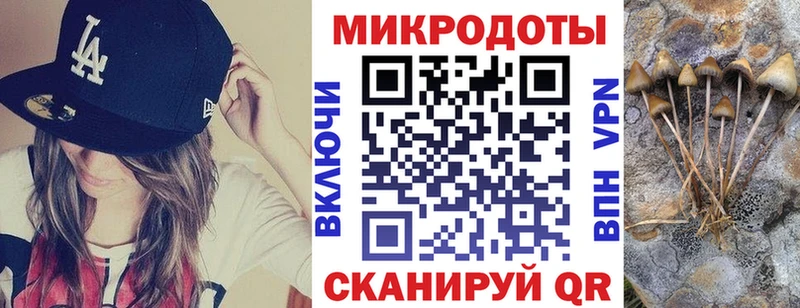 Псилоцибиновые грибы мицелий  продажа наркотиков  Любань 